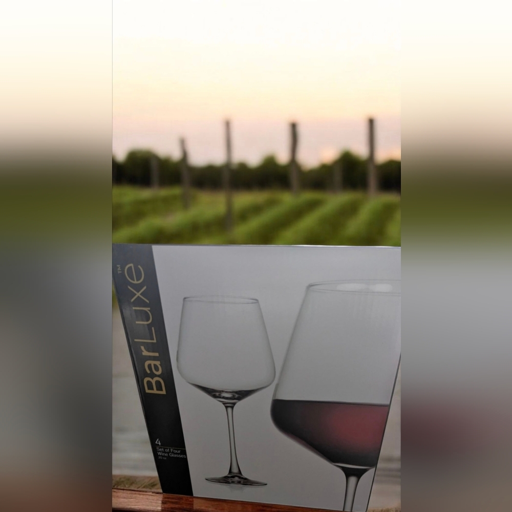 BarLuxe Wine Glasses - Set of 4